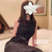 ヒメ日記 2025/06/09 10:10 投稿 佐々木さくら キングアンドクイーン