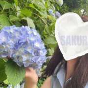 ヒメ日記 2025/06/18 10:07 投稿 佐々木さくら キングアンドクイーン