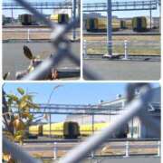 ヒメ日記 2025/03/07 13:15 投稿 なづな 即アポ奥さん～浜松店～