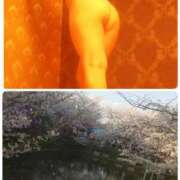 ヒメ日記 2025/04/08 20:01 投稿 なづな 即アポ奥さん～浜松店～