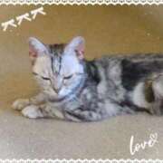 ヒメ日記 2025/02/08 07:58 投稿 川越 西川口デッドボール