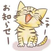 ヒメ日記 2025/02/13 10:28 投稿 川越 西川口デッドボール