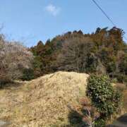 ヒメ日記 2025/03/23 09:18 投稿 川越 西川口デッドボール