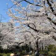 ヒメ日記 2025/04/09 18:28 投稿 川越 西川口デッドボール