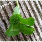 ヒメ日記 2025/04/14 16:38 投稿 川越 西川口デッドボール