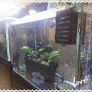 ヒメ日記 2025/04/17 18:48 投稿 川越 西川口デッドボール