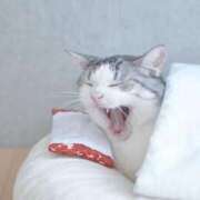 ヒメ日記 2025/04/18 07:55 投稿 川越 西川口デッドボール