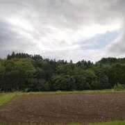 ヒメ日記 2025/05/04 13:45 投稿 川越 西川口デッドボール