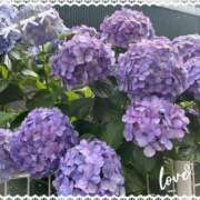 ヒメ日記 2025/06/09 08:28 投稿 川越 西川口デッドボール