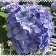 ヒメ日記 2025/06/13 08:10 投稿 川越 西川口デッドボール