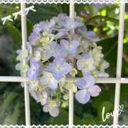 ヒメ日記 2025/06/15 09:38 投稿 川越 西川口デッドボール