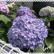 ヒメ日記 2025/06/19 07:38 投稿 川越 西川口デッドボール