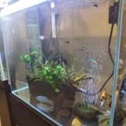 ヒメ日記 2025/07/14 17:25 投稿 川越 西川口デッドボール