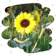 ヒメ日記 2025/08/13 13:18 投稿 川越 西川口デッドボール