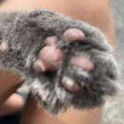 ヒメ日記 2026/02/22 15:08 投稿 川越 西川口デッドボール