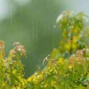 ともみ 冷たい雨 大塚 虹いろ回春