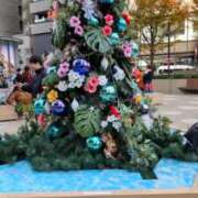 ヒメ日記 2024/12/25 14:55 投稿 ともみ 大塚 虹いろ回春