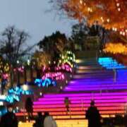 ヒメ日記 2024/12/30 21:18 投稿 ともみ 大塚 虹いろ回春