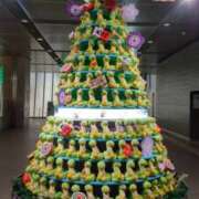 ヒメ日記 2025/01/01 11:29 投稿 ともみ 大塚 虹いろ回春