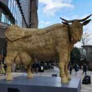 ヒメ日記 2025/01/13 19:09 投稿 ともみ 大塚 虹いろ回春