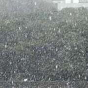 ヒメ日記 2025/03/03 15:04 投稿 ともみ 大塚 虹いろ回春