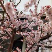 ヒメ日記 2025/03/04 17:28 投稿 ともみ 大塚 虹いろ回春