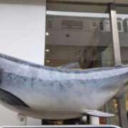 ヒメ日記 2025/03/05 12:38 投稿 ともみ 大塚 虹いろ回春