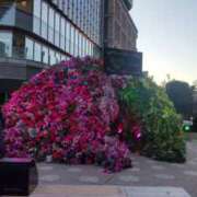 ヒメ日記 2025/03/11 13:08 投稿 ともみ 大塚 虹いろ回春