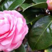 ヒメ日記 2025/03/14 10:46 投稿 ともみ 大塚 虹いろ回春