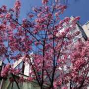 ヒメ日記 2025/03/28 10:55 投稿 ともみ 大塚 虹いろ回春