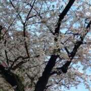 ヒメ日記 2025/04/04 16:09 投稿 ともみ 大塚 虹いろ回春