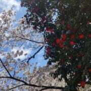 ヒメ日記 2025/04/06 10:57 投稿 ともみ 大塚 虹いろ回春