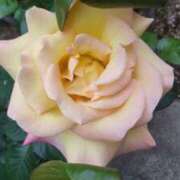 ヒメ日記 2025/04/30 11:39 投稿 ともみ 大塚 虹いろ回春