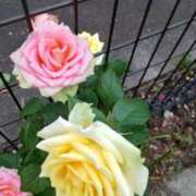 ヒメ日記 2025/05/21 15:53 投稿 ともみ 大塚 虹いろ回春