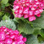 ヒメ日記 2025/06/02 13:34 投稿 ともみ 大塚 虹いろ回春