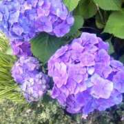 ヒメ日記 2025/06/05 19:28 投稿 ともみ 大塚 虹いろ回春