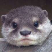 ヒメ日記 2025/06/07 14:27 投稿 ともみ 大塚 虹いろ回春