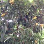 ヒメ日記 2025/06/12 10:57 投稿 ともみ 大塚 虹いろ回春