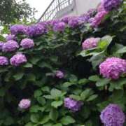 ヒメ日記 2025/06/20 21:26 投稿 ともみ 大塚 虹いろ回春