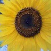 ヒメ日記 2025/07/03 12:01 投稿 ともみ 大塚 虹いろ回春