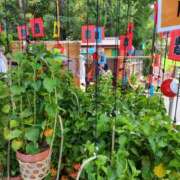 ヒメ日記 2025/07/09 11:11 投稿 ともみ 大塚 虹いろ回春