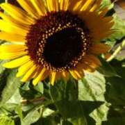 ヒメ日記 2025/07/21 21:30 投稿 ともみ 大塚 虹いろ回春