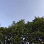 ヒメ日記 2025/09/06 17:00 投稿 ともみ 大塚 虹いろ回春