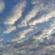 ヒメ日記 2025/09/07 12:11 投稿 ともみ 大塚 虹いろ回春