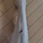 ヒメ日記 2025/10/21 11:26 投稿 ともみ 大塚 虹いろ回春