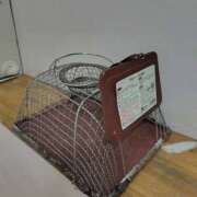 ヒメ日記 2025/10/24 23:11 投稿 ともみ 大塚 虹いろ回春