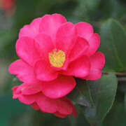 ヒメ日記 2025/11/07 11:26 投稿 ともみ 大塚 虹いろ回春