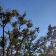 ヒメ日記 2025/11/10 11:49 投稿 ともみ 大塚 虹いろ回春