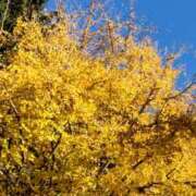 ヒメ日記 2025/12/11 13:13 投稿 ともみ 大塚 虹いろ回春