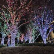 ヒメ日記 2025/12/14 11:54 投稿 ともみ 大塚 虹いろ回春